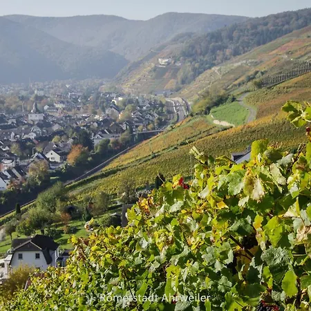 Exklusive Mit Ahrblick 3 Apartment *