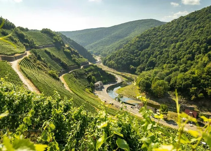 Exklusive Mit Ahrblick 3 *